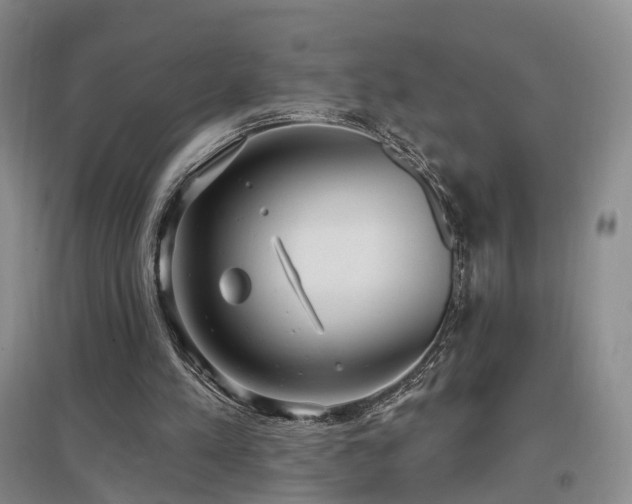 X0000097510197200802221515