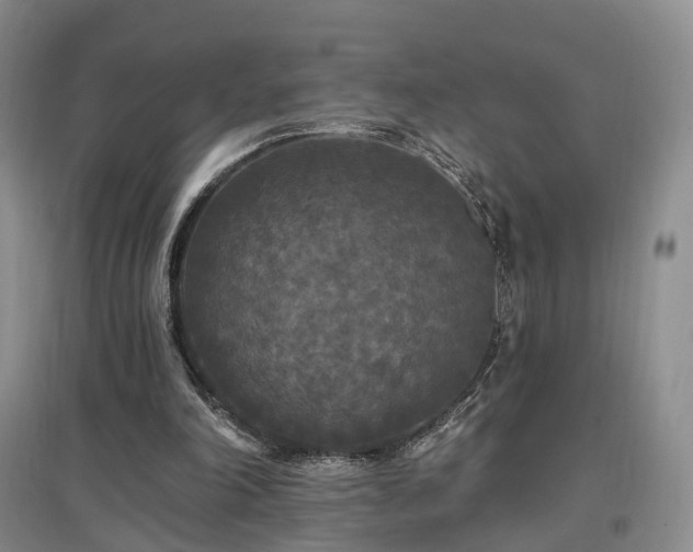 X0000097510198200802221515
