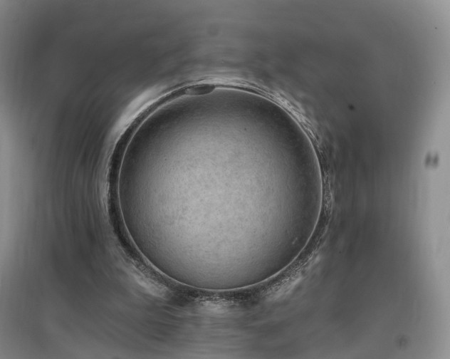 X0000097510199200802221515
