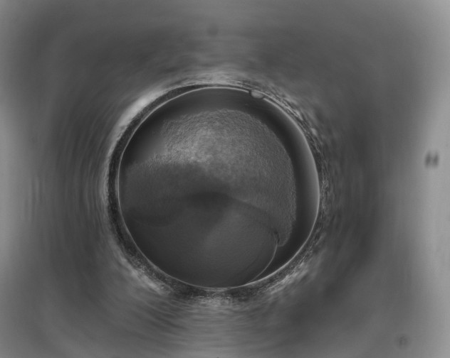X0000097510200200802221515