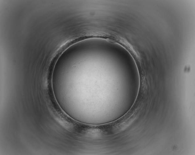 X0000097510203200802221515