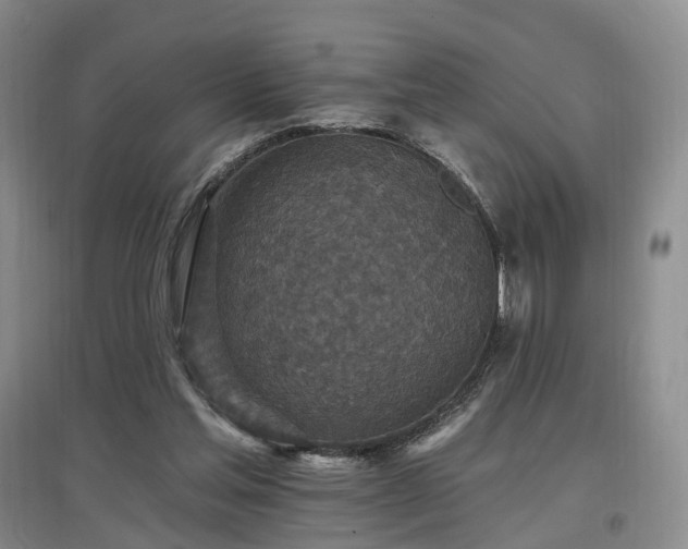 X0000097510205200802221515