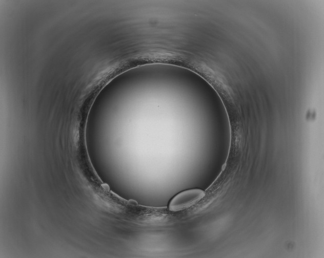 X0000097510206200802221515