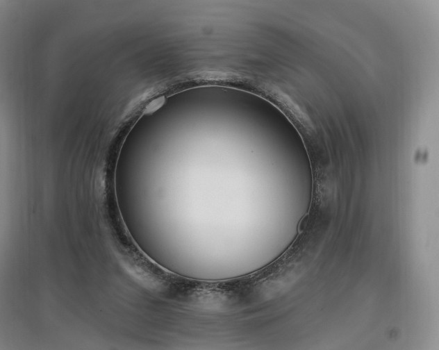 X0000097510207200802221514