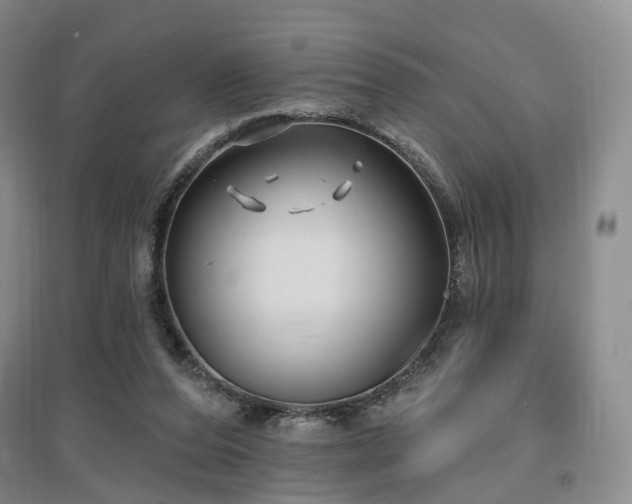X0000097510208200802221514