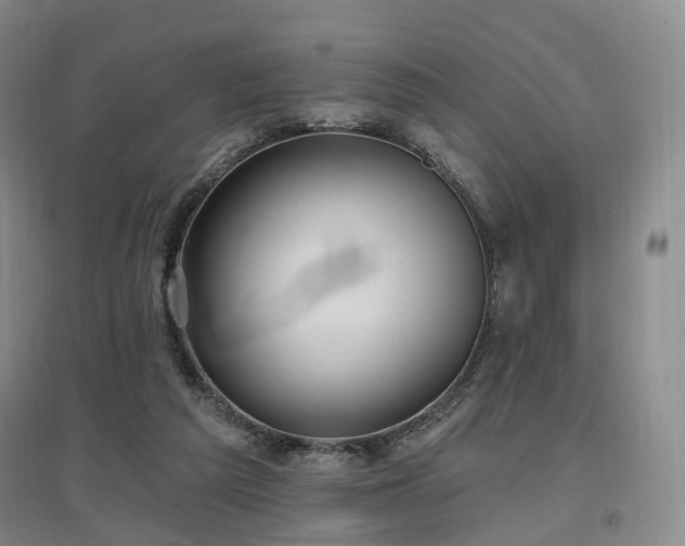 X0000097510209200802221514