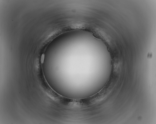 X0000097510211200802221514