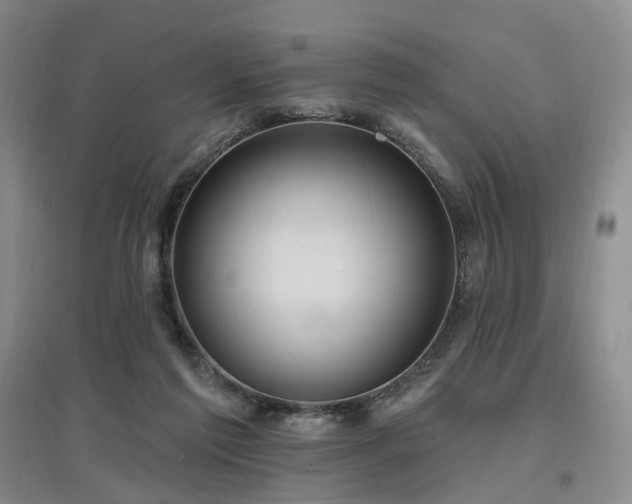 X0000097510213200802221514