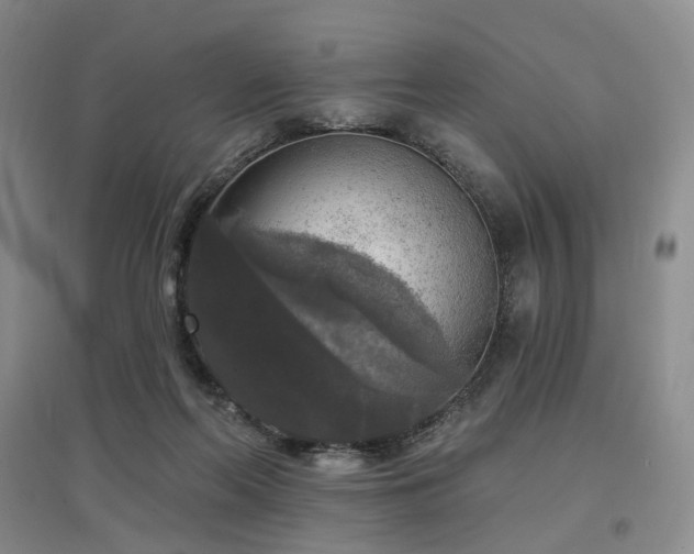 X0000097510214200802221514