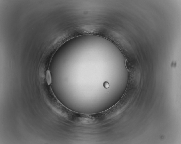 X0000097510215200802221514