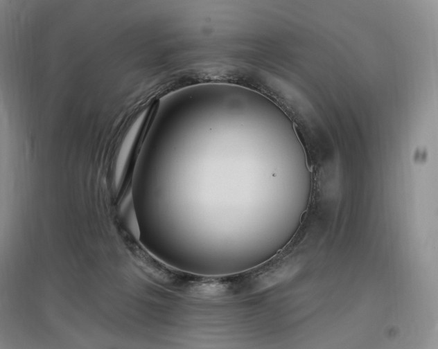 X0000097510217200802221514