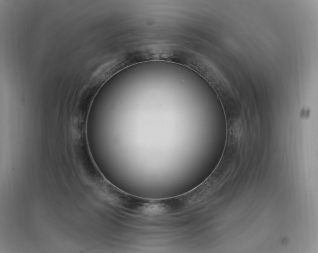 X0000097510218200802221514