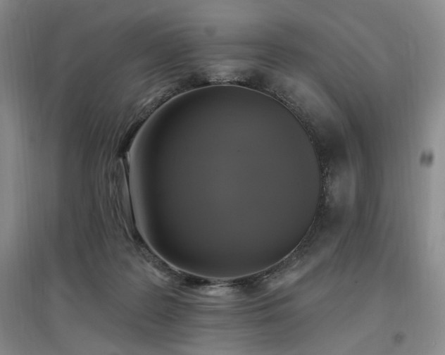 X0000097510219200802221514