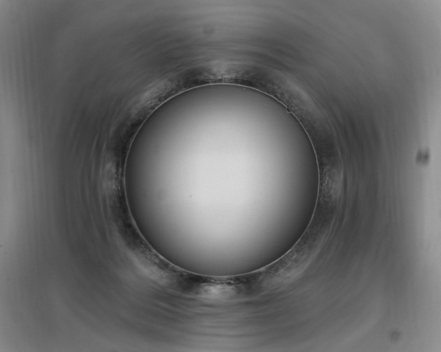 X0000097510220200802221514