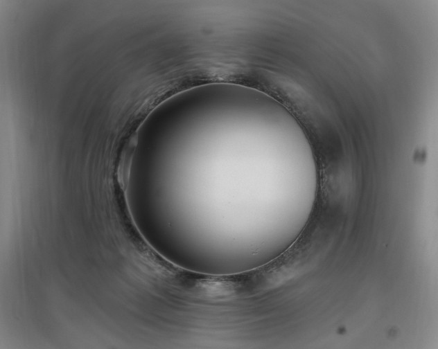 X0000097510221200802221514