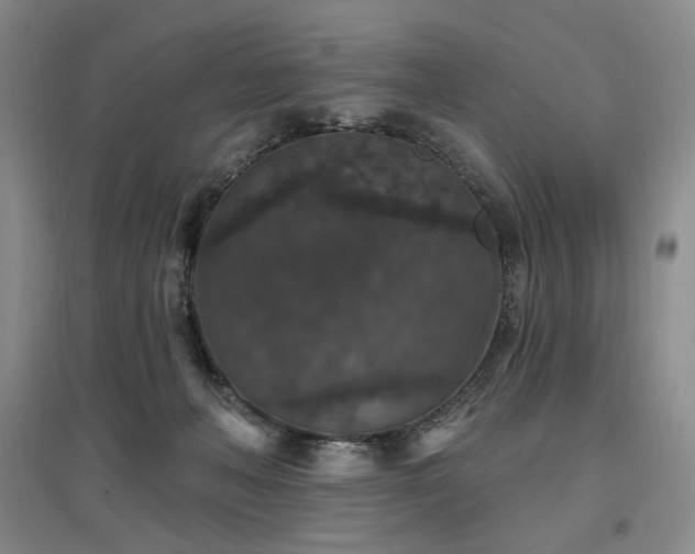 X0000097510222200802221514