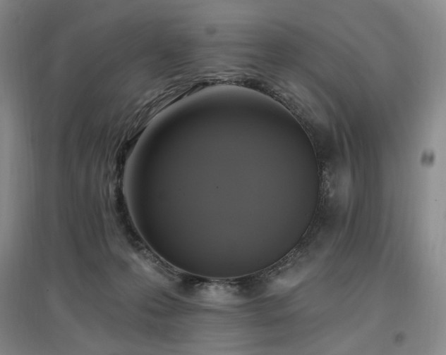 X0000097510223200802221514