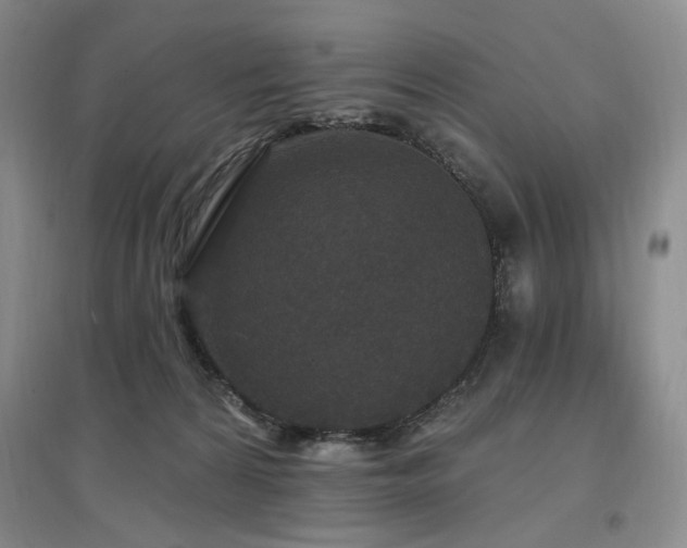 X0000097510224200802221514