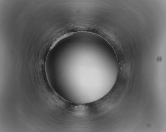 X0000097510225200802221514