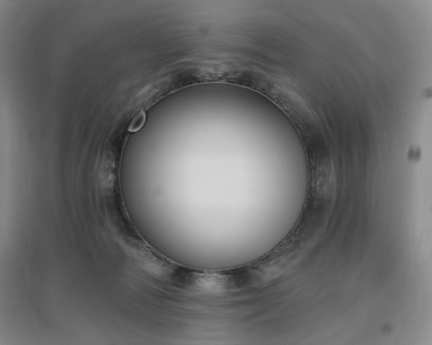 X0000097510226200802221514