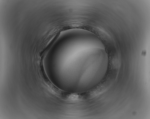X0000097510227200802221514