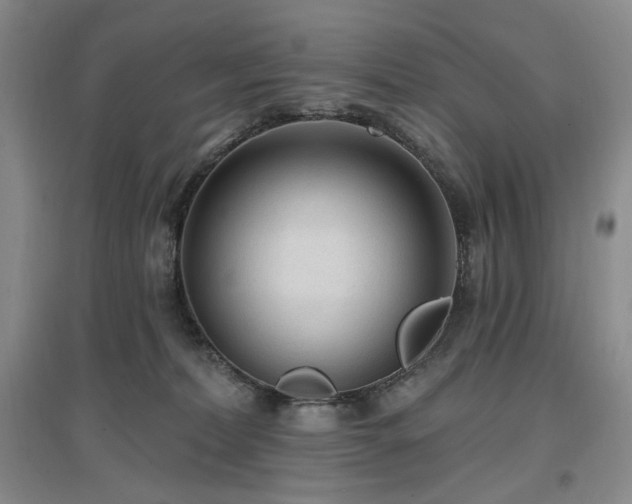 X0000097510228200802221514
