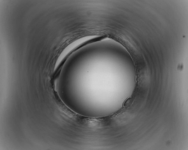 X0000097510229200802221514