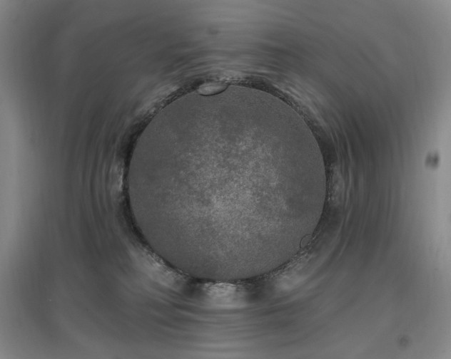X0000097510230200802221514
