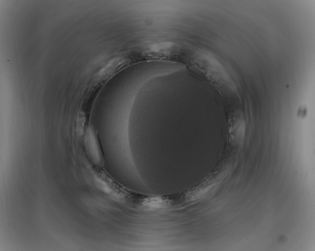 X0000097510231200802221514