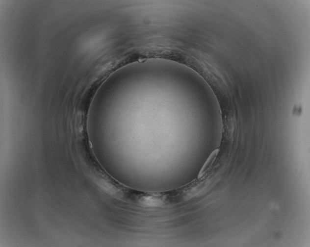 X0000097510232200802221514