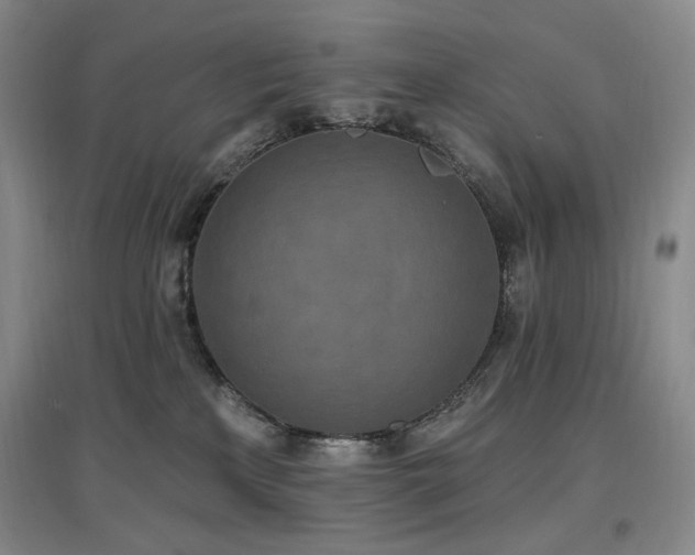 X0000097510233200802221514