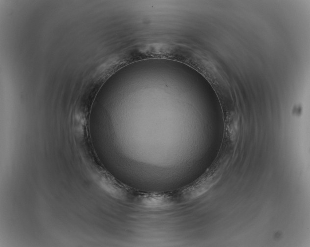 X0000097510235200802221514