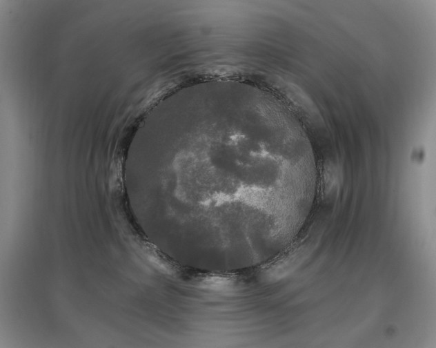 X0000097510236200802221514