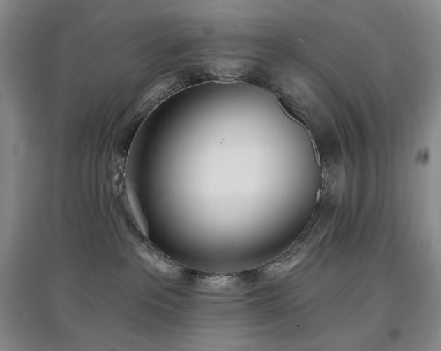 X0000097510237200802221514