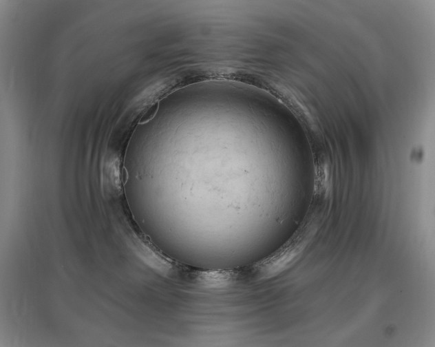 X0000097510238200802221514