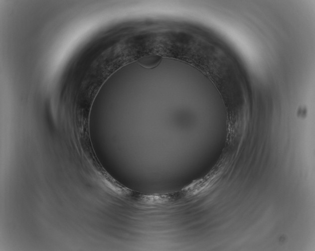 X0000097510239200802221514