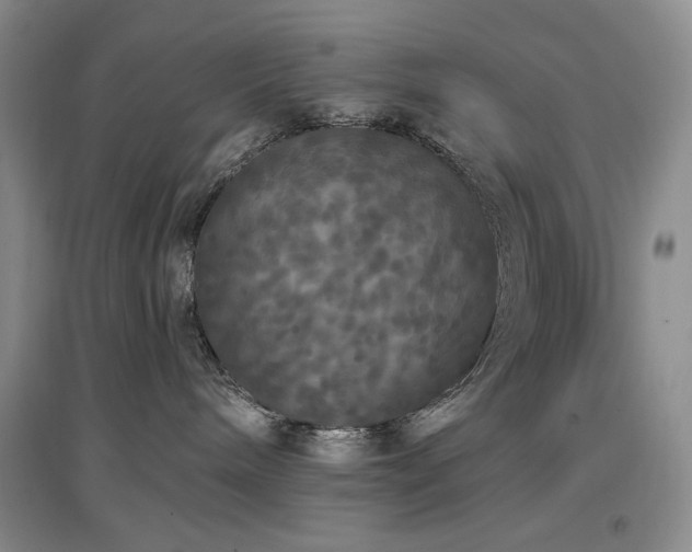 X0000097510240200802221514