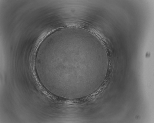 X0000097510241200802221513