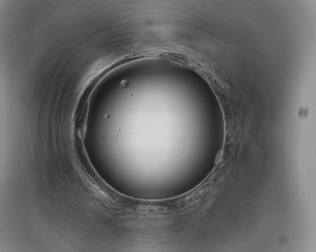 X0000097510242200802221513