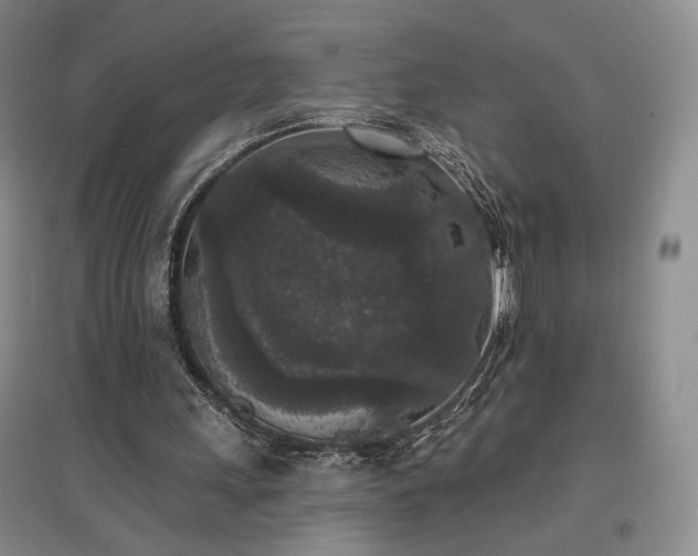 X0000097510243200802221513