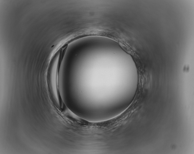 X0000097510244200802221513