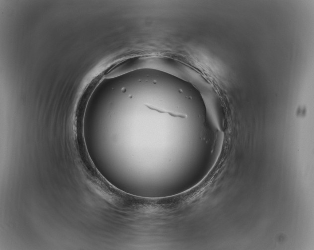 X0000097510246200802221513