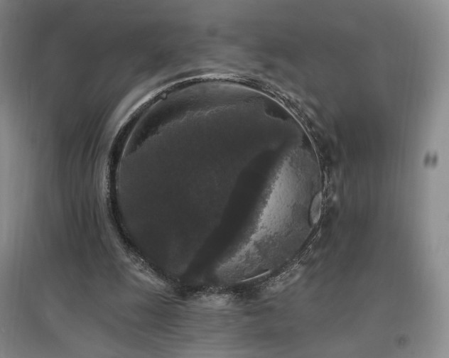 X0000097510247200802221513