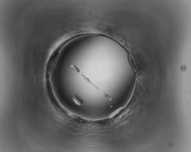 X0000097510248200802221513