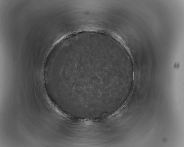 X0000097510249200802221513