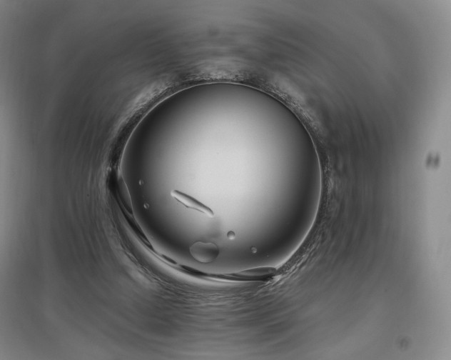 X0000097510250200802221513