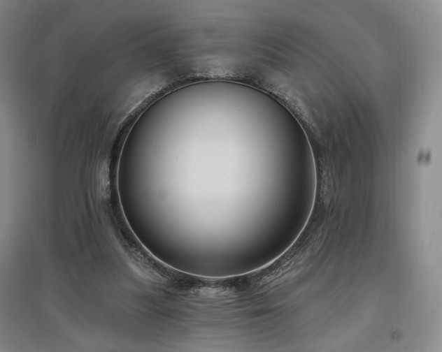 X0000097510251200802221513