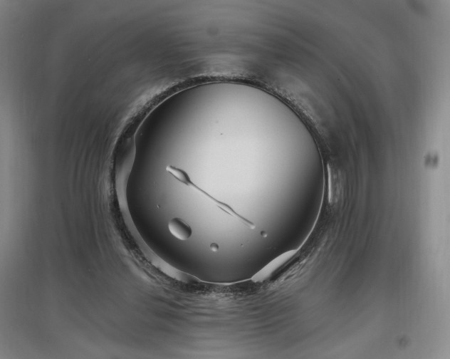 X0000097510252200802221513