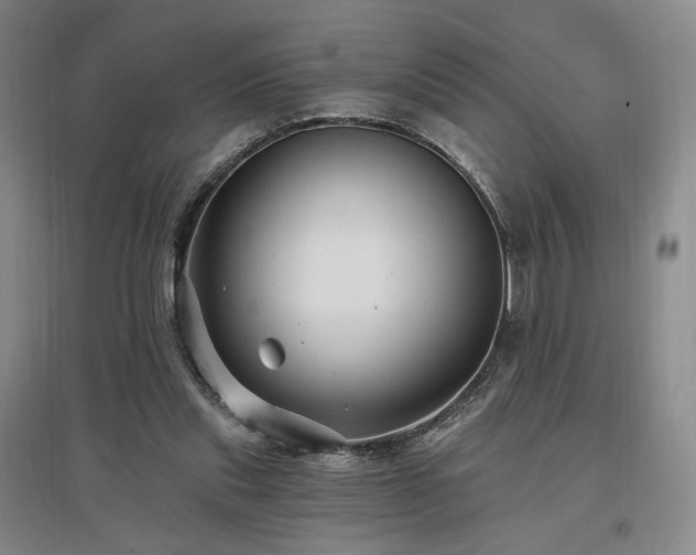 X0000097510253200802221513