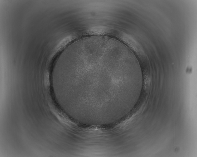 X0000097510254200802221513